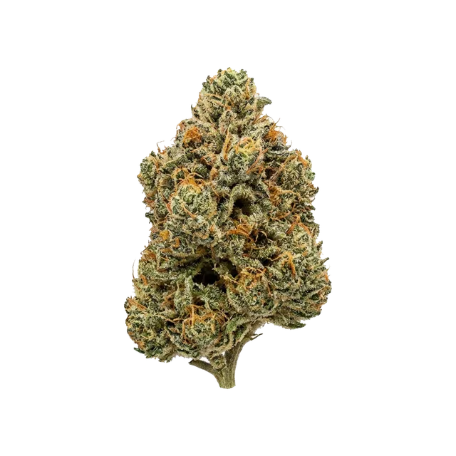 Flor de cannabis medicinal, símbolo da reclassificação do CBD pela Anvisa em 2015